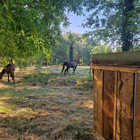 Glamping Expérience équestre Et Bain Nordique Privé