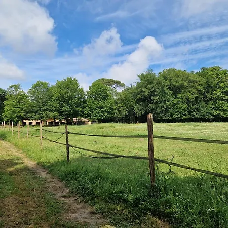 Expérience équestre Et Bain Nordique Privé Glamping