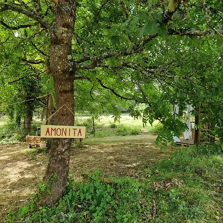 Expérience équestre Et Bain Nordique Privé * Ambrus